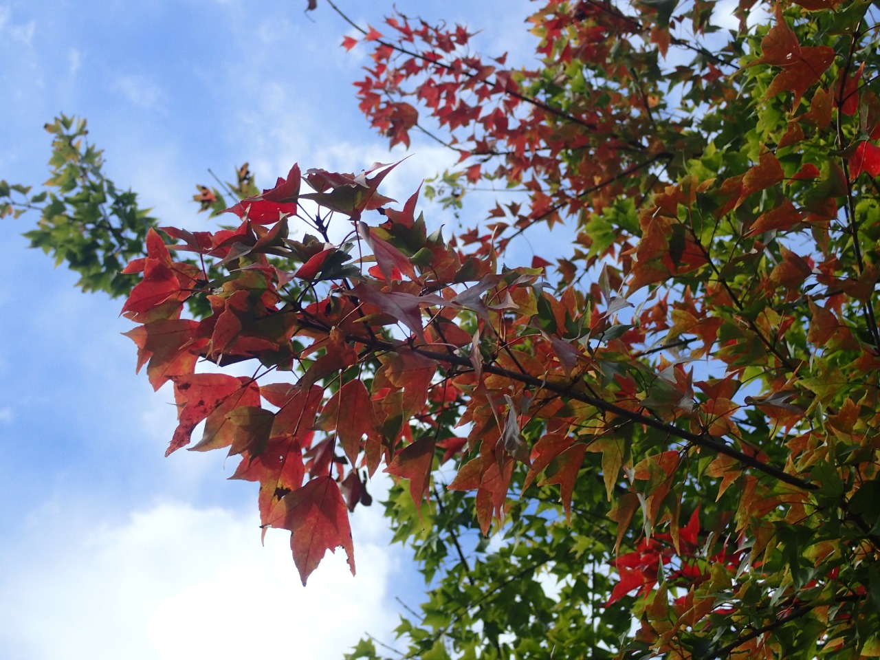 PA290310.JPG