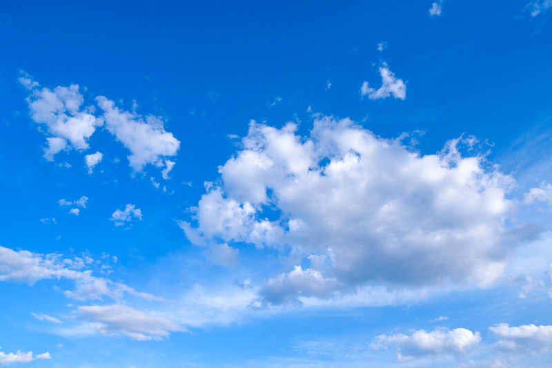 RED2020906A014_TP_V4.jpg