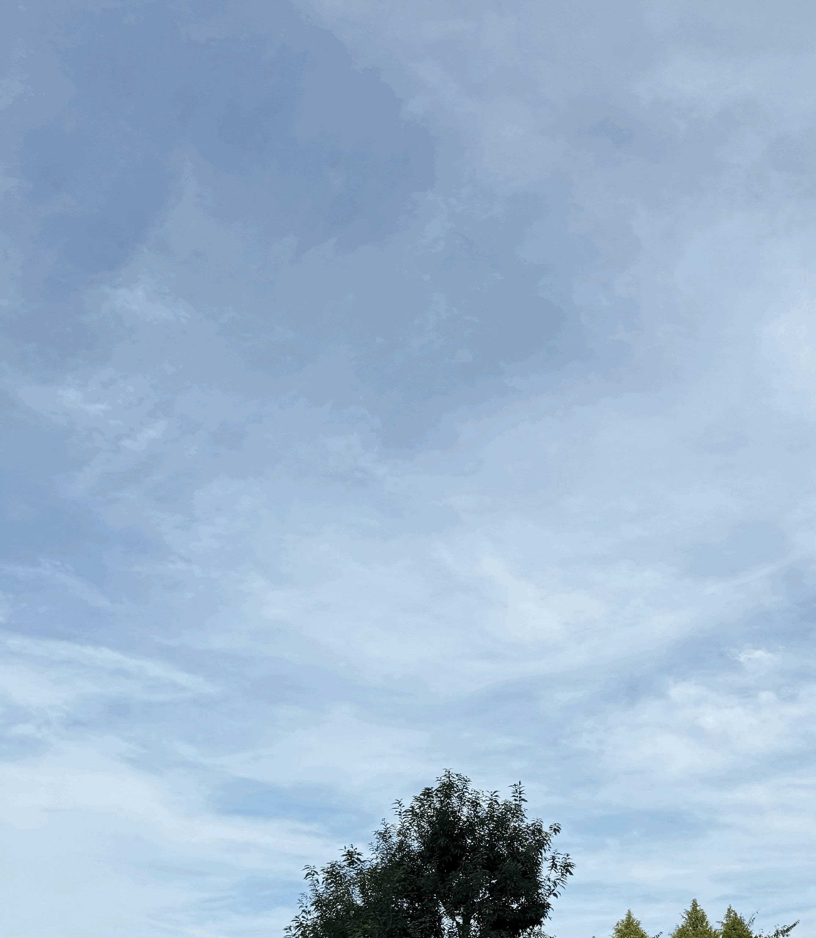 tempImageQMTeRm.gif