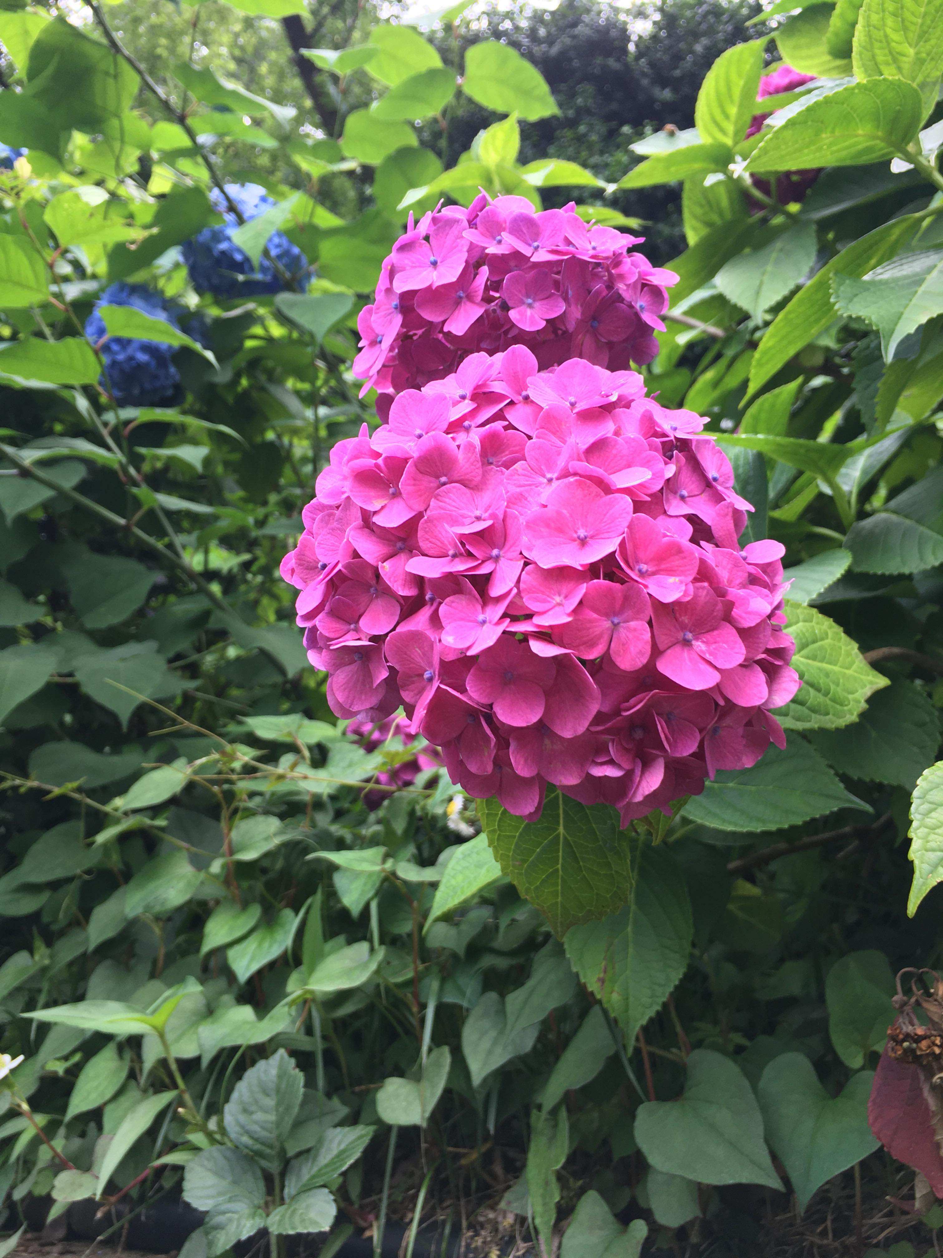 292759238_3267329376869356_6751129181211013833_n (1).jpg