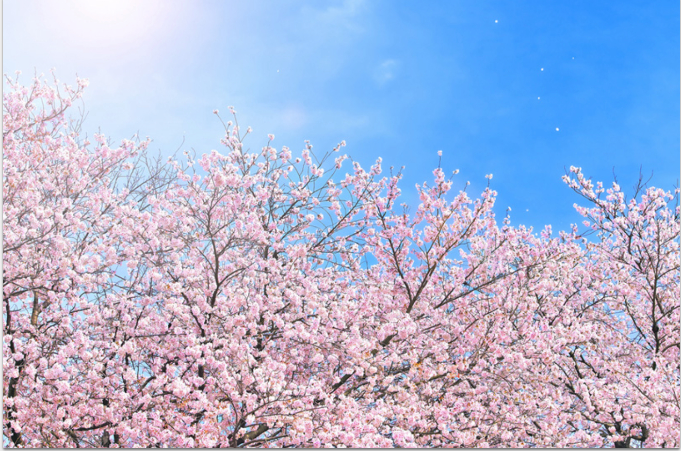 スクリーンショット 2022-04-12 0.13.13.png