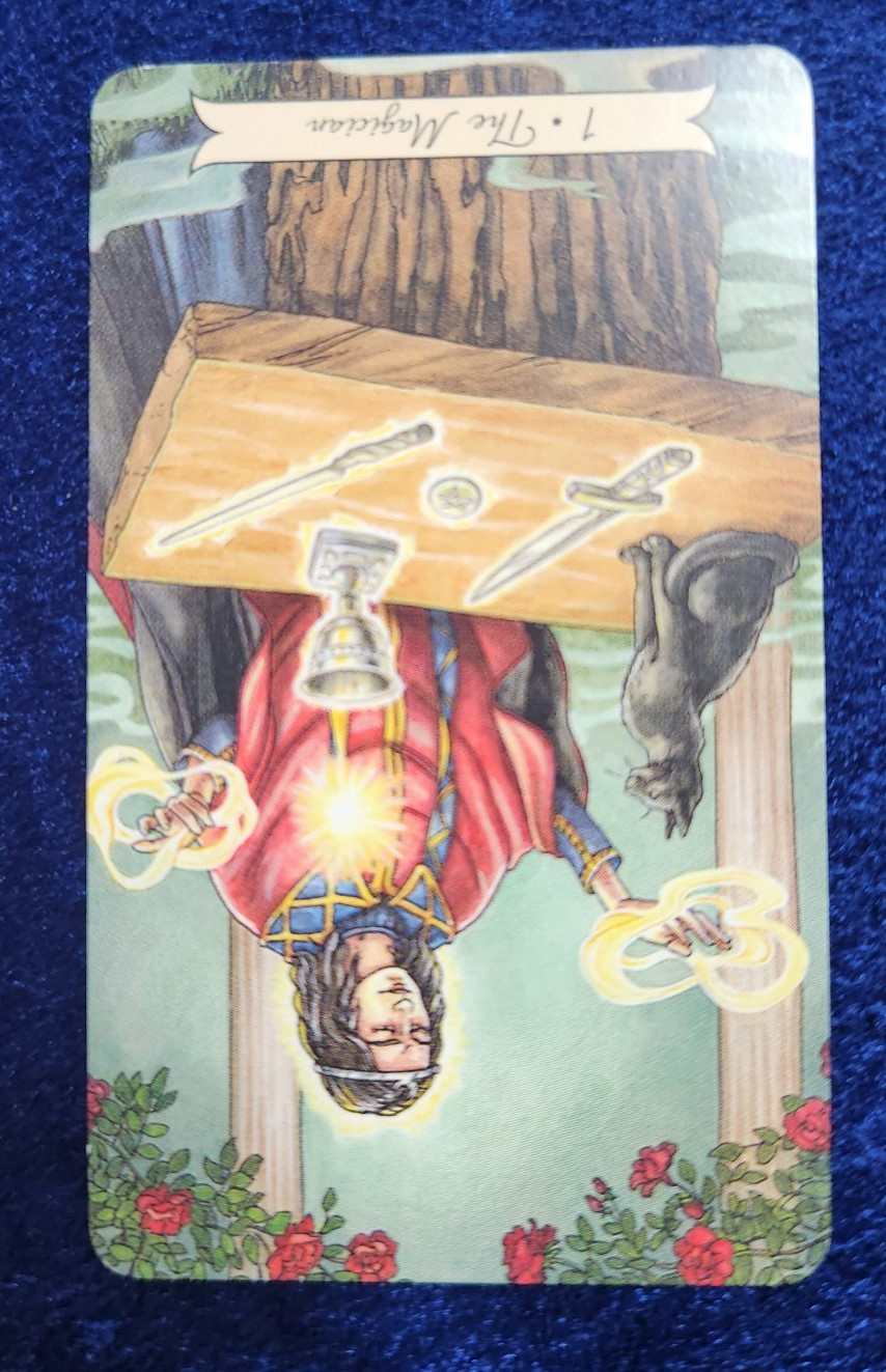 20230922_083235 (002).jpg