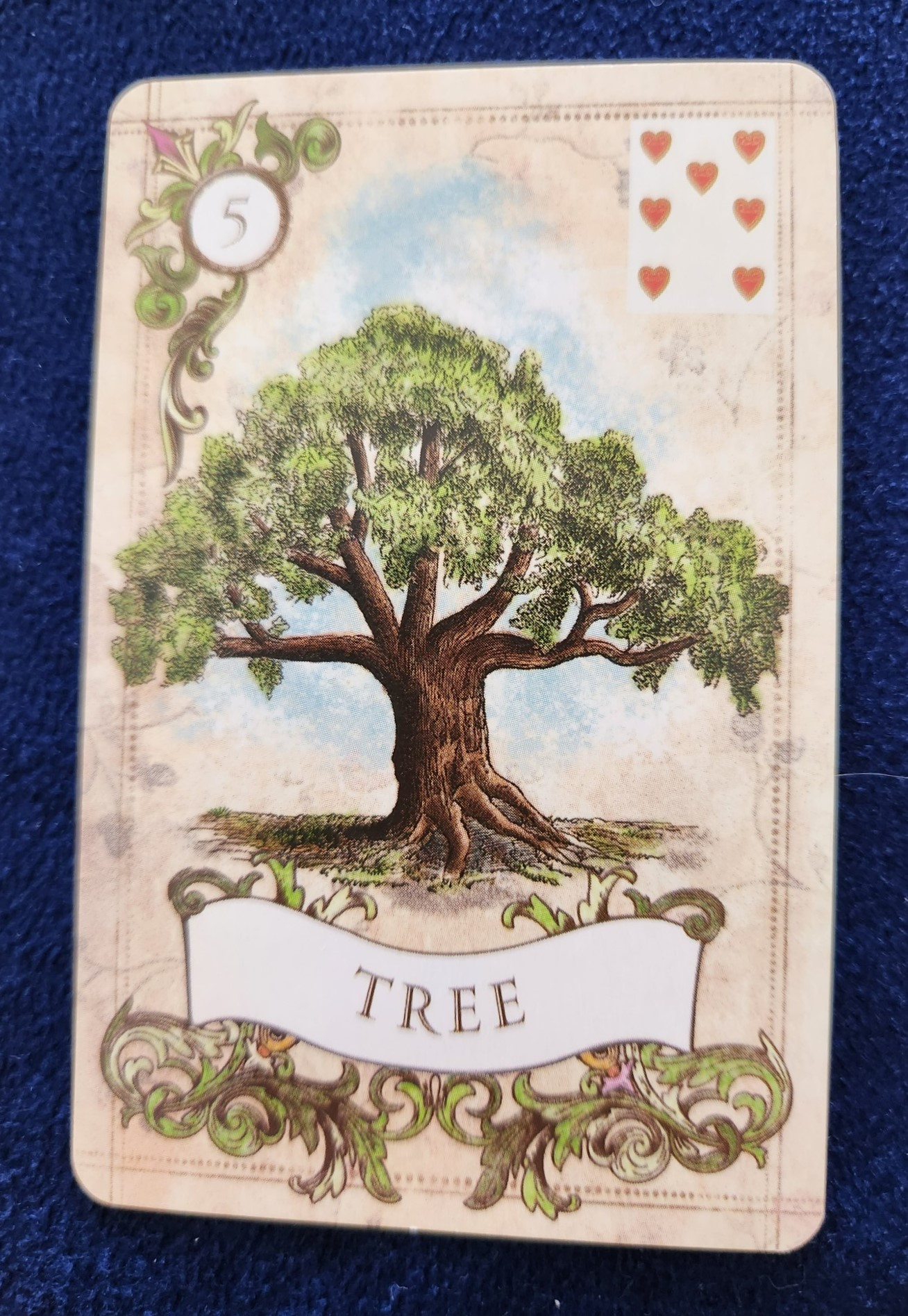 20231021_113541 (002).jpg