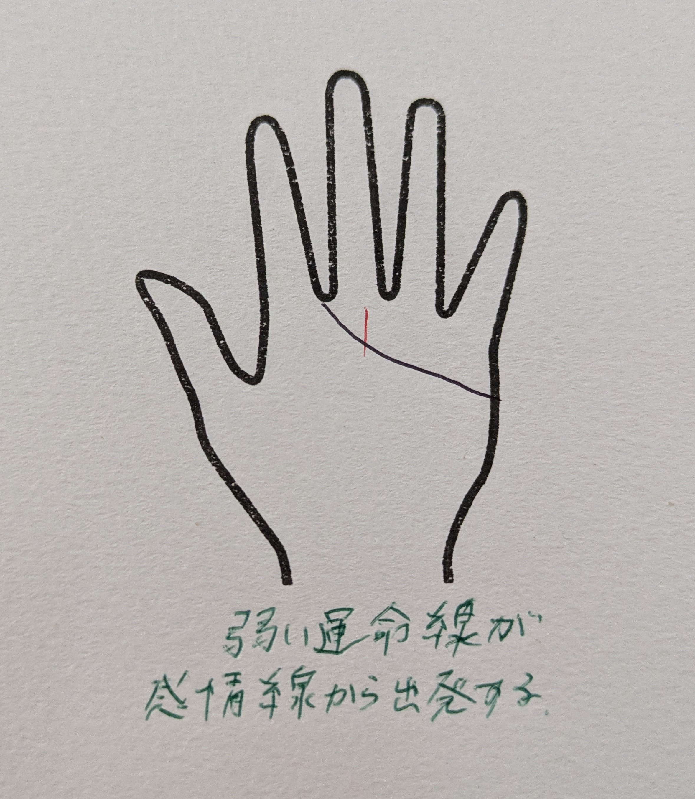 PXL_20251020_204130070.jpg