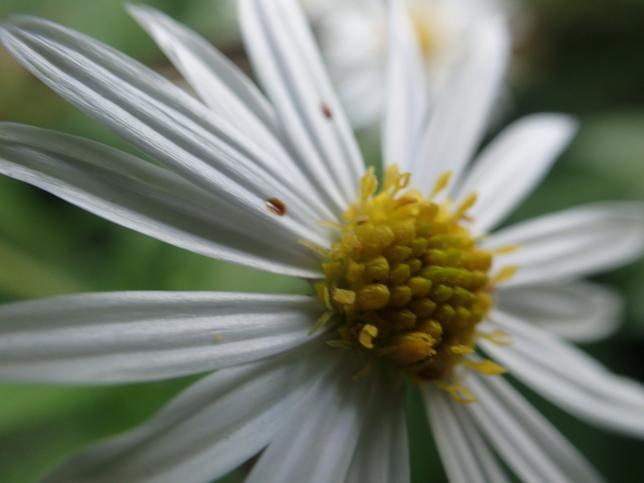 PA210331.JPG