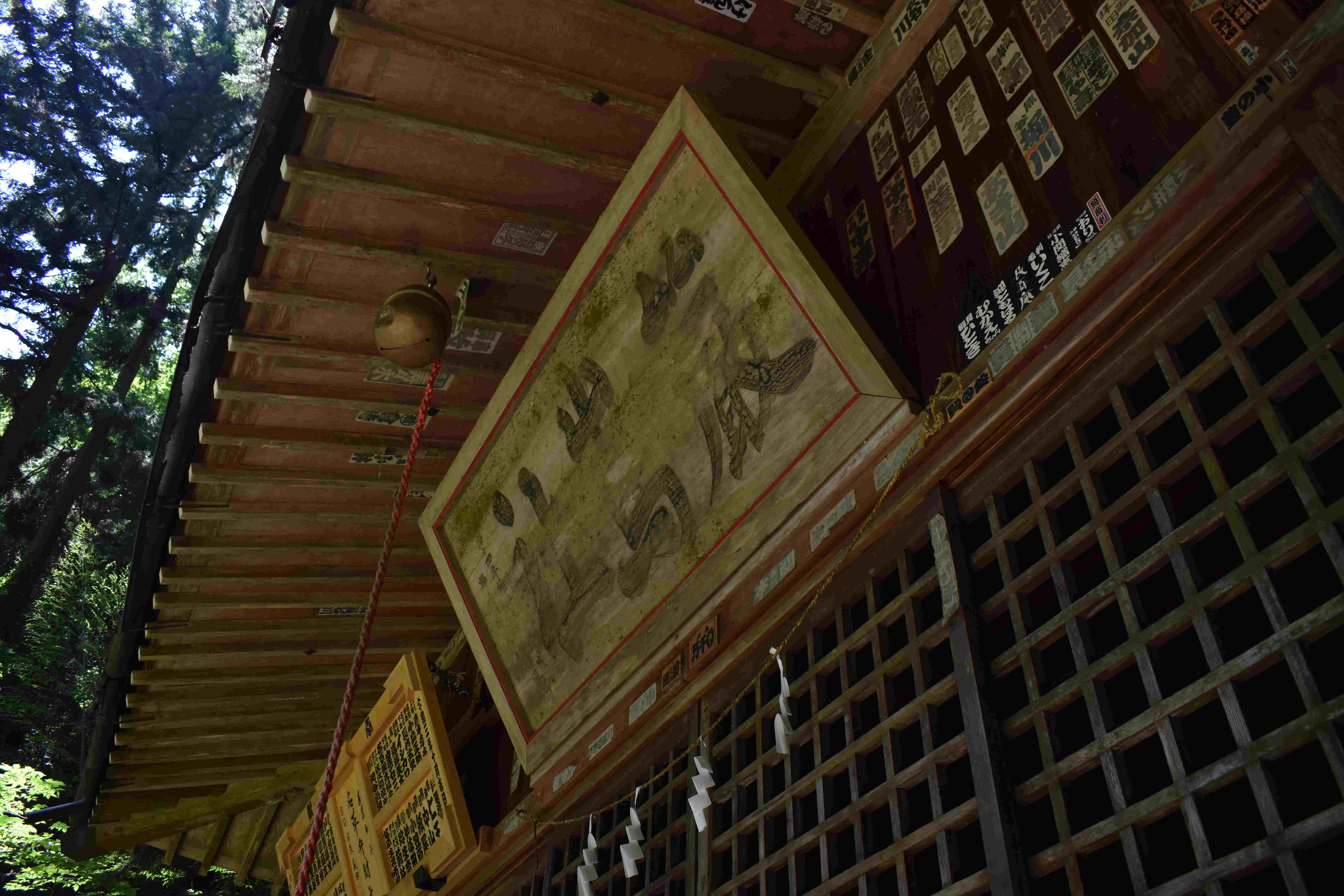 DSC_1898.JPG