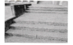 写真9.png