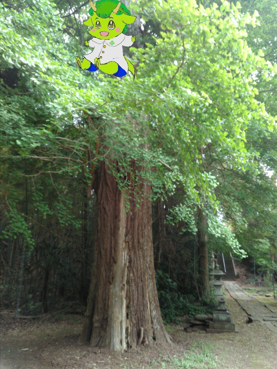 シエルちゃんフキアエズ神社　木と.png