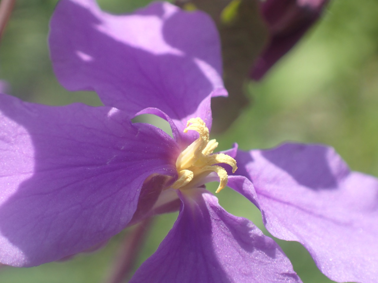 P4050277.JPG