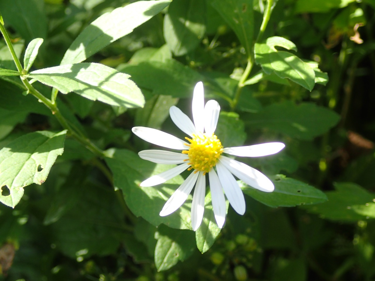 PB010735.JPG