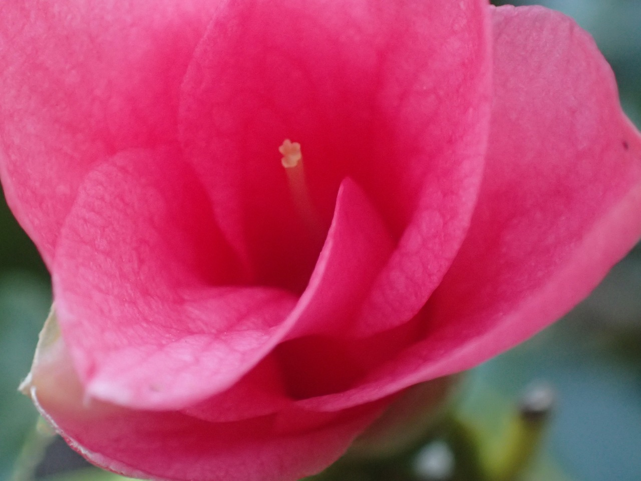 P3220135.JPG