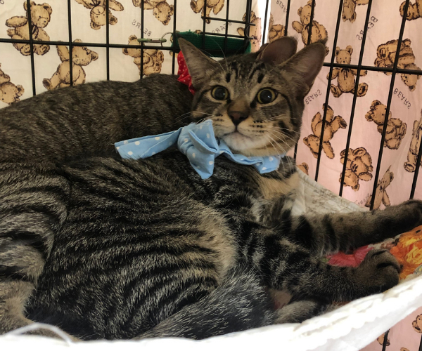 名称未設定のデザイン (40).png