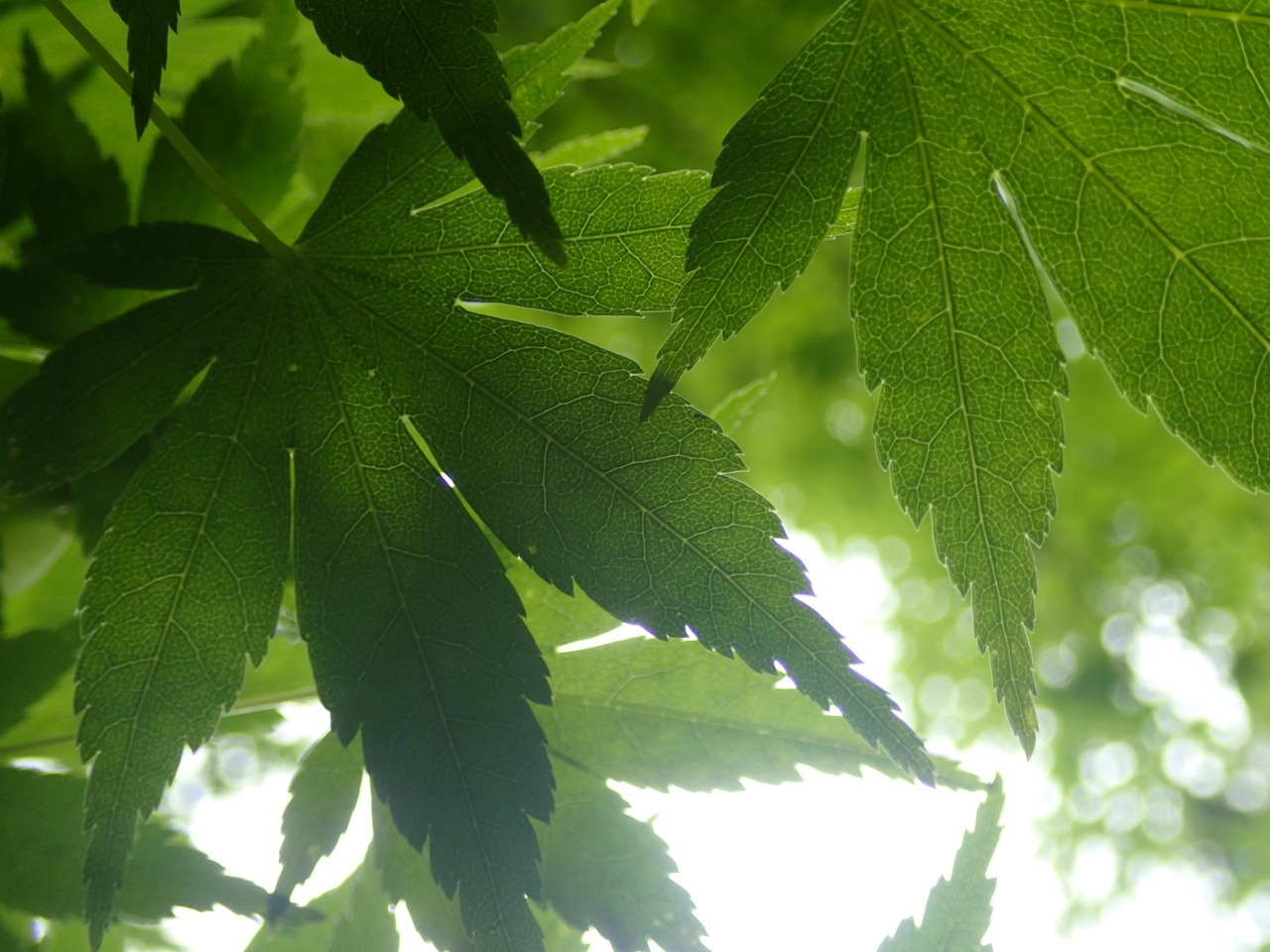 02.JPG
