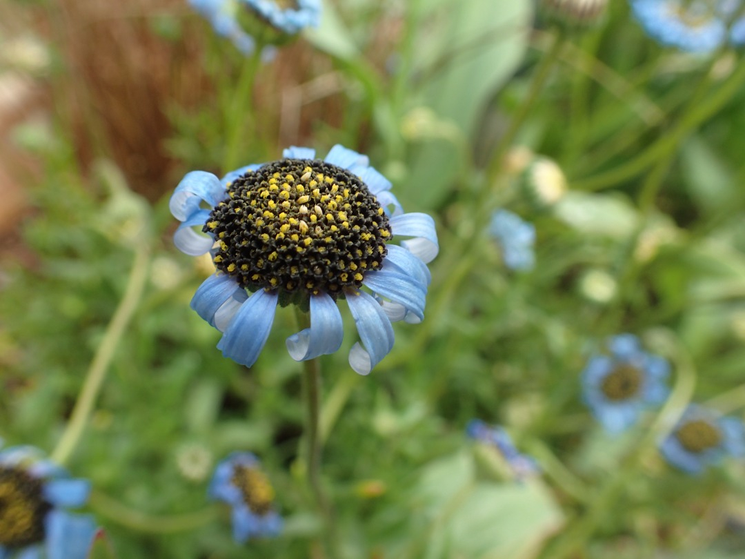 P4050331.JPG