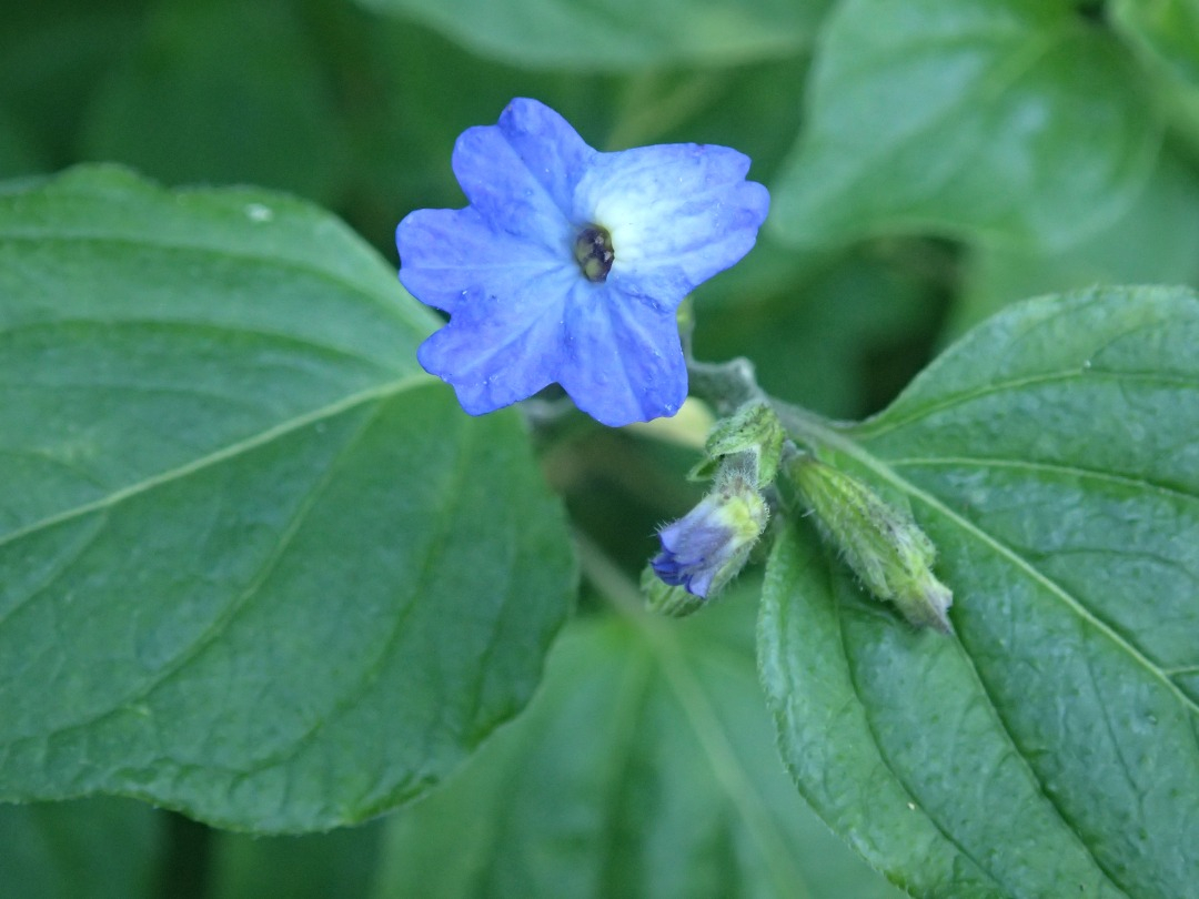 PA101415.JPG