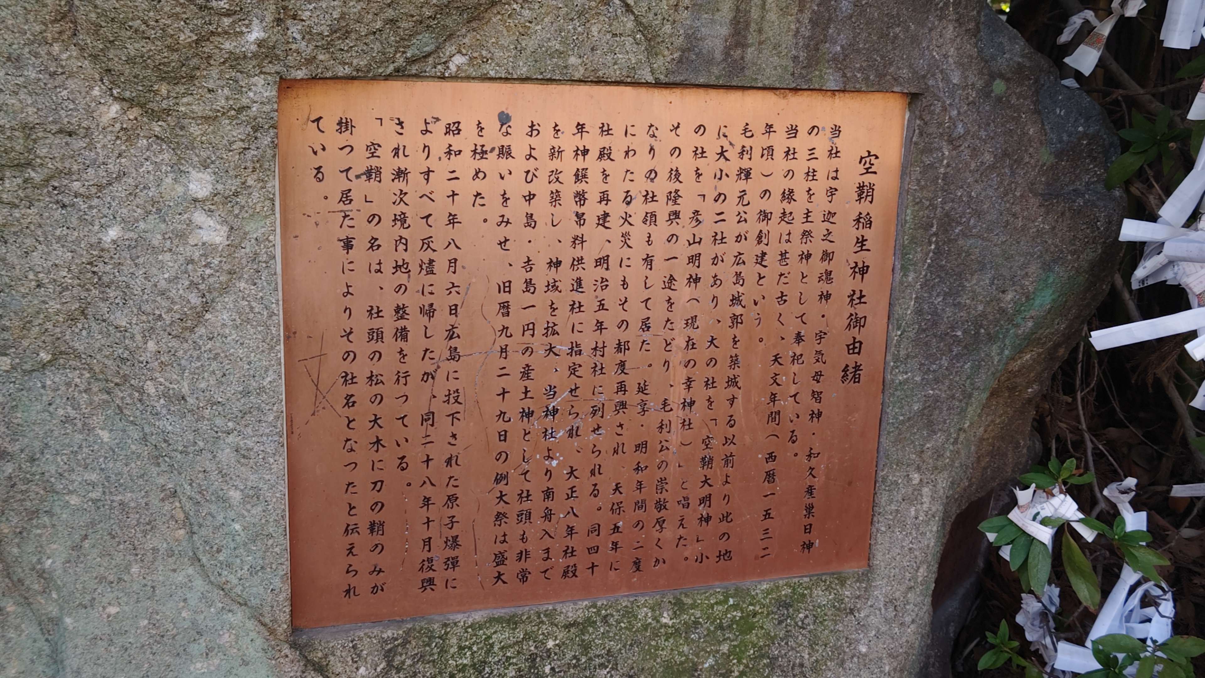 250214093117672.JPG
