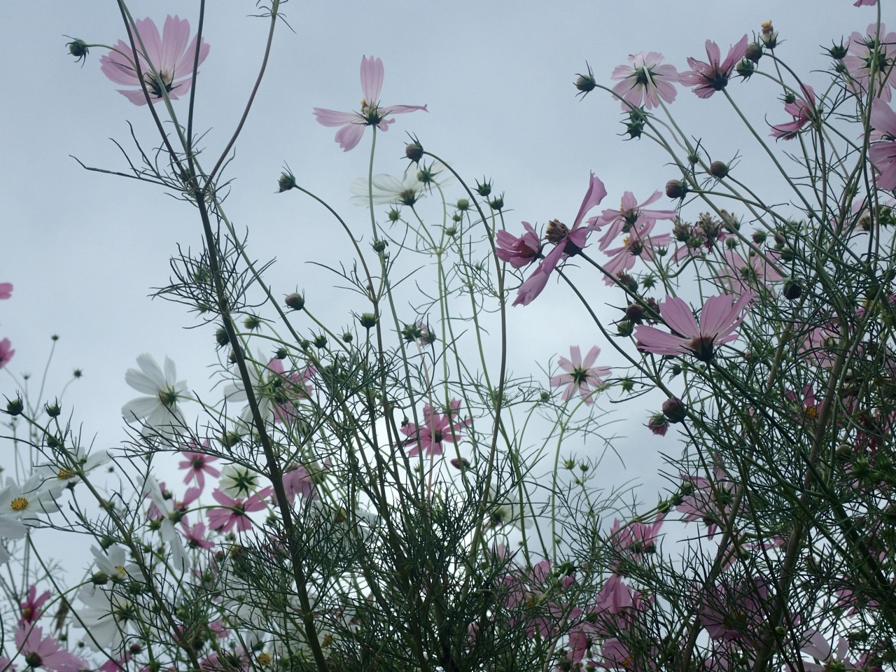 P9301166.JPG