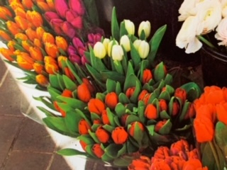 image4.jpeg