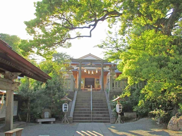 img_lp_yakumo01.jpg