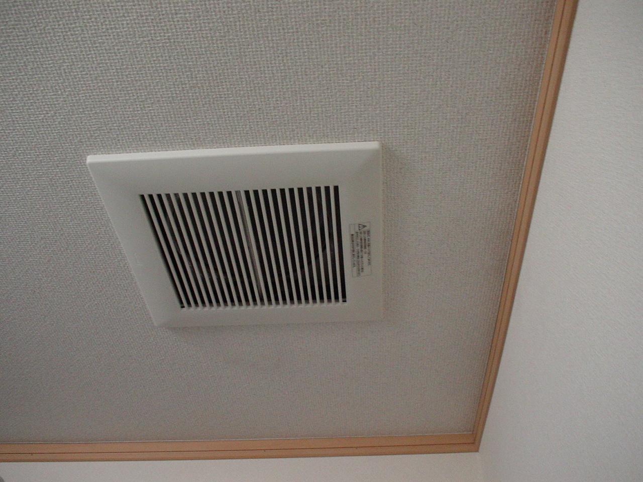 DSC03041.JPG