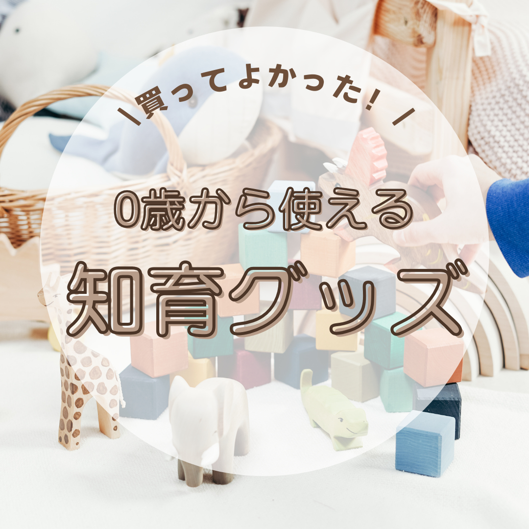知育グッズ.png