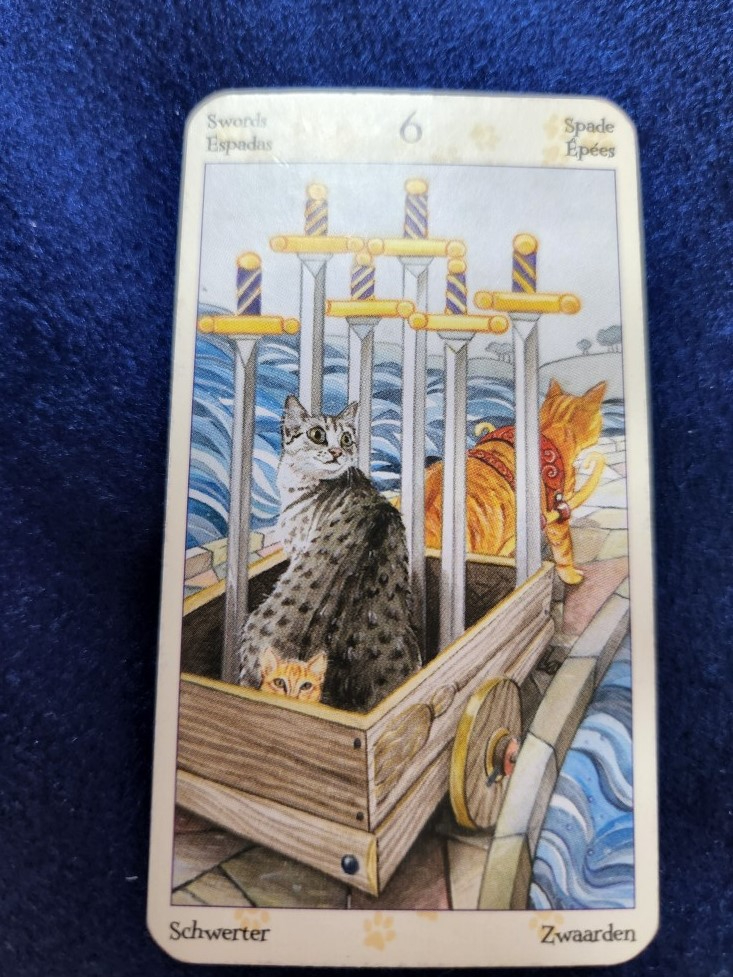 20230515_085931 (002).jpg