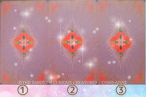 動物タロット３択.png