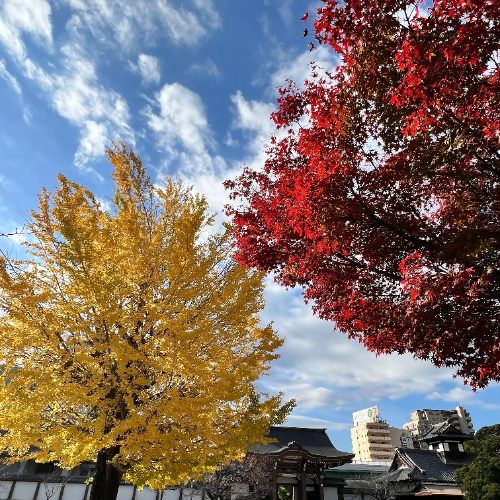 IMG_7687.png