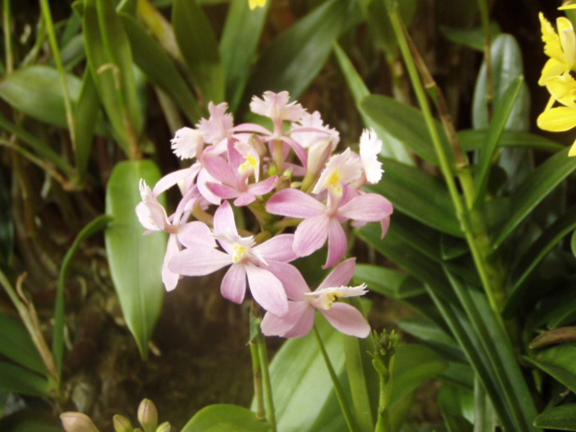 P1010079.JPG