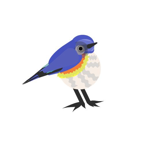 bird.jpg