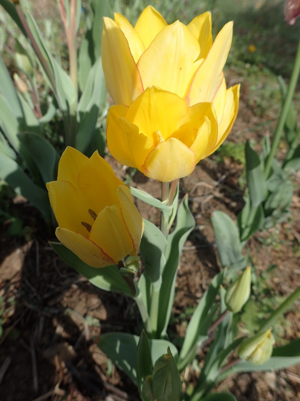 P4110055.JPG