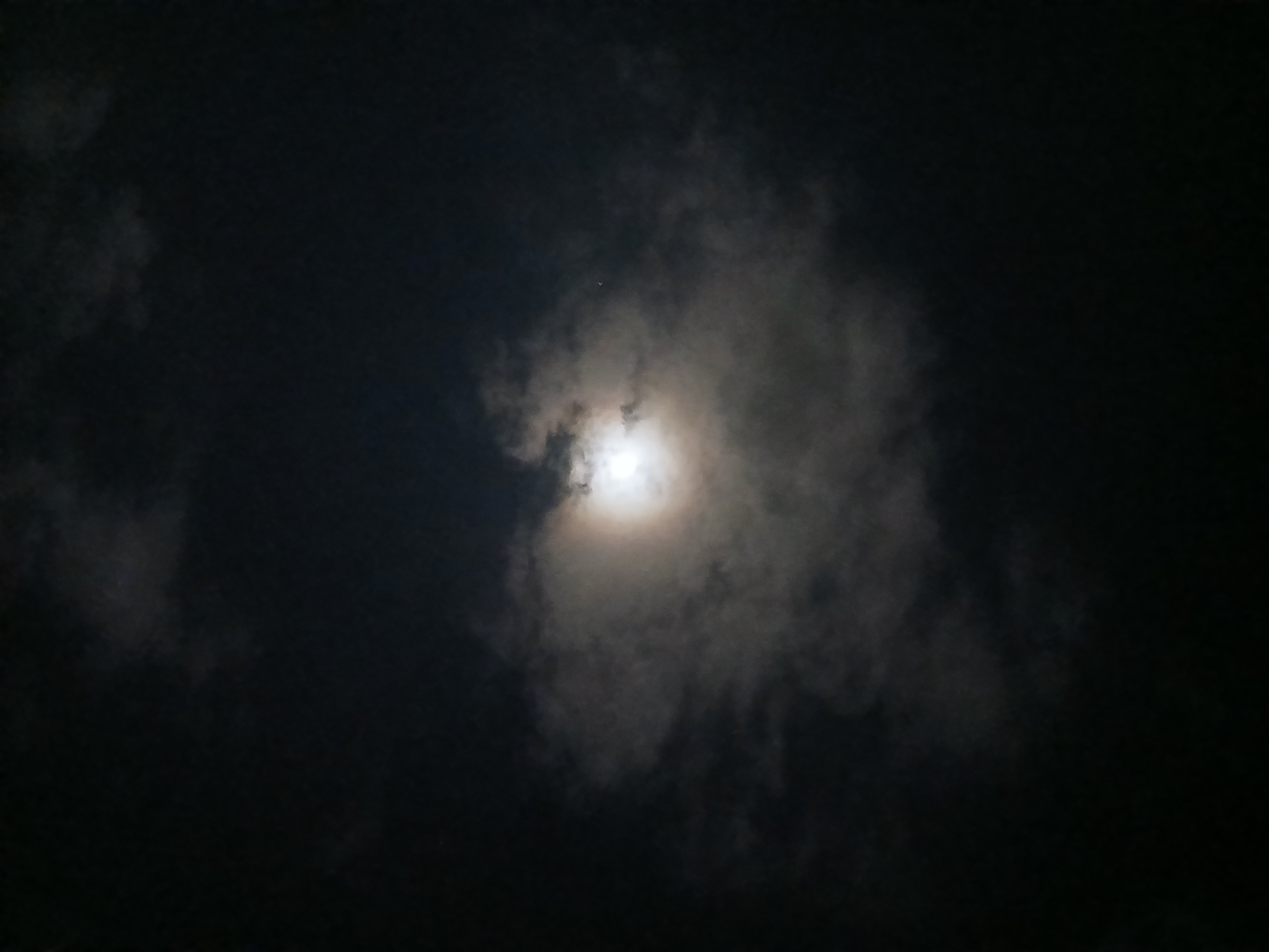 20260901_040614.jpg