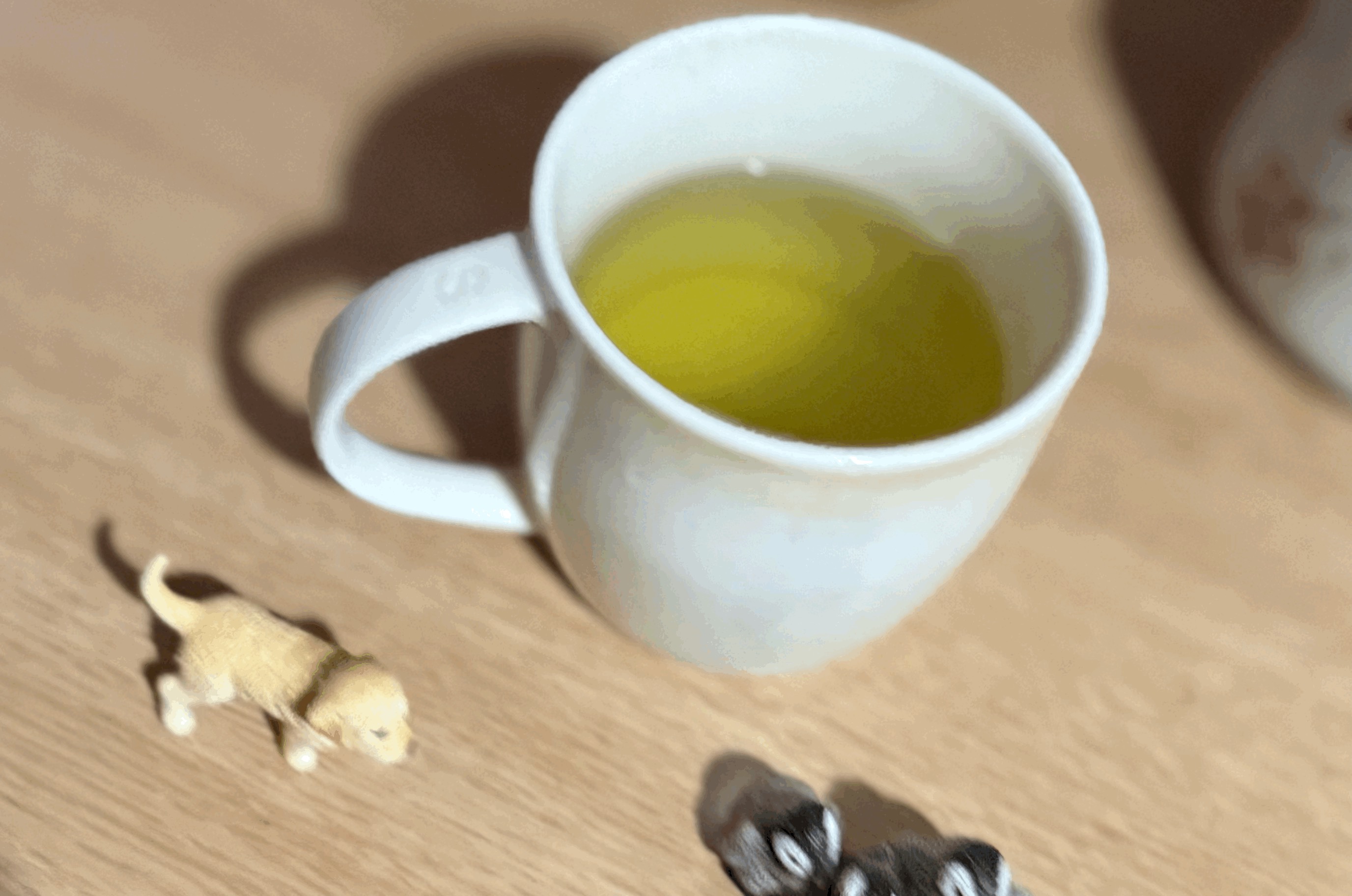 tempImagegaGisi.gif