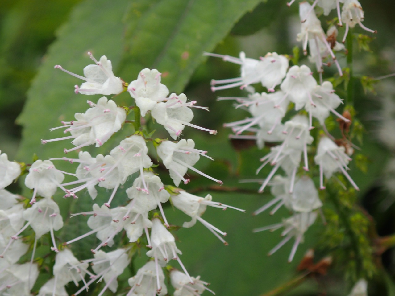 PA120620.JPG