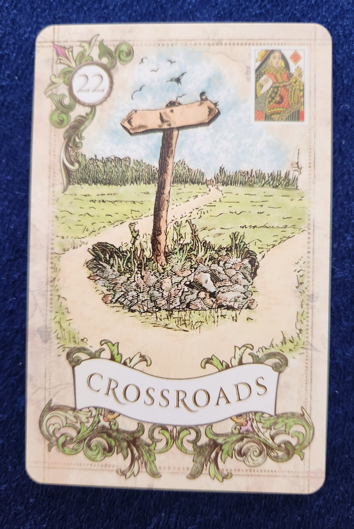 20230924_102837 (002).jpg