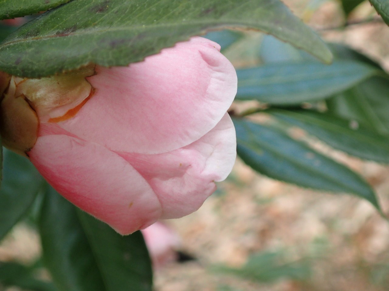 PC220222.JPG