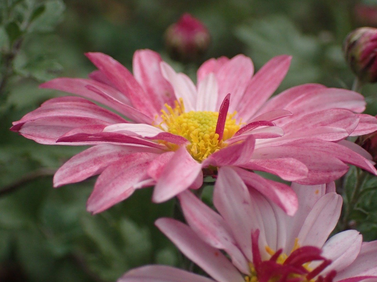 PA261487.JPG