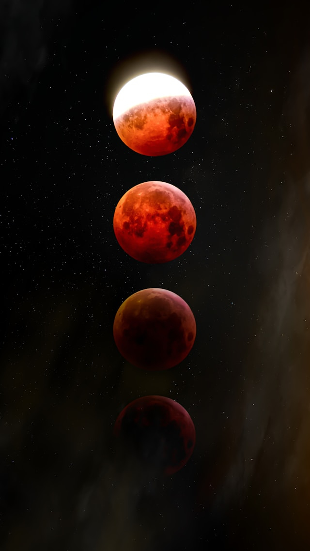 zoltan-tasi-HQPJEEjHqSE-unsplash.jpg