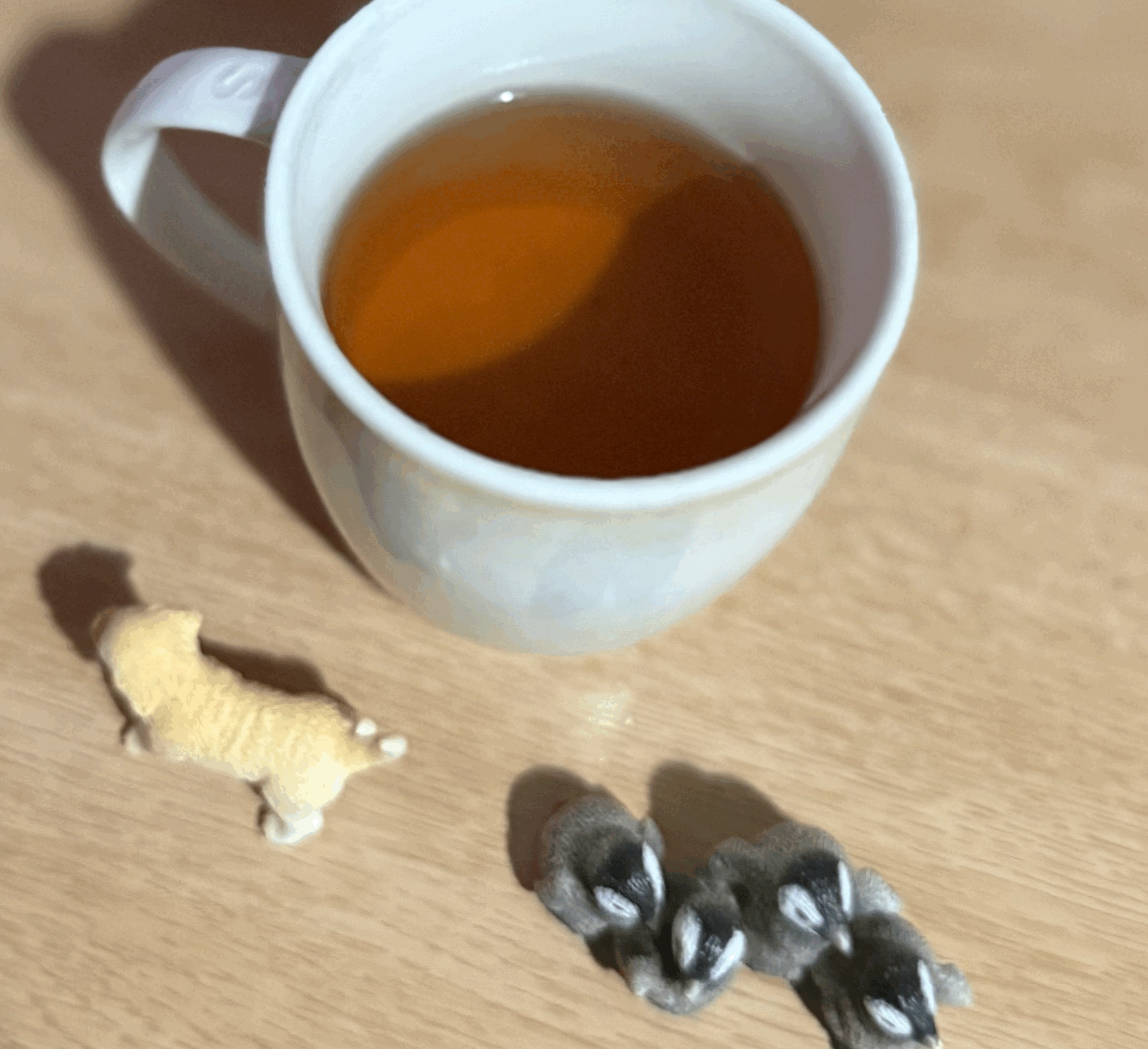 tempImagenioGNg.gif