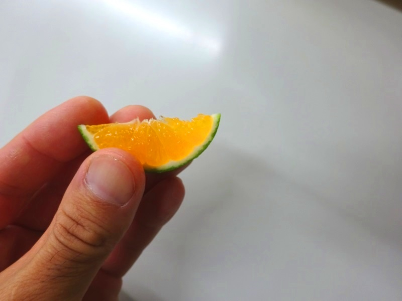 みかんカット食える - コピー.JPG
