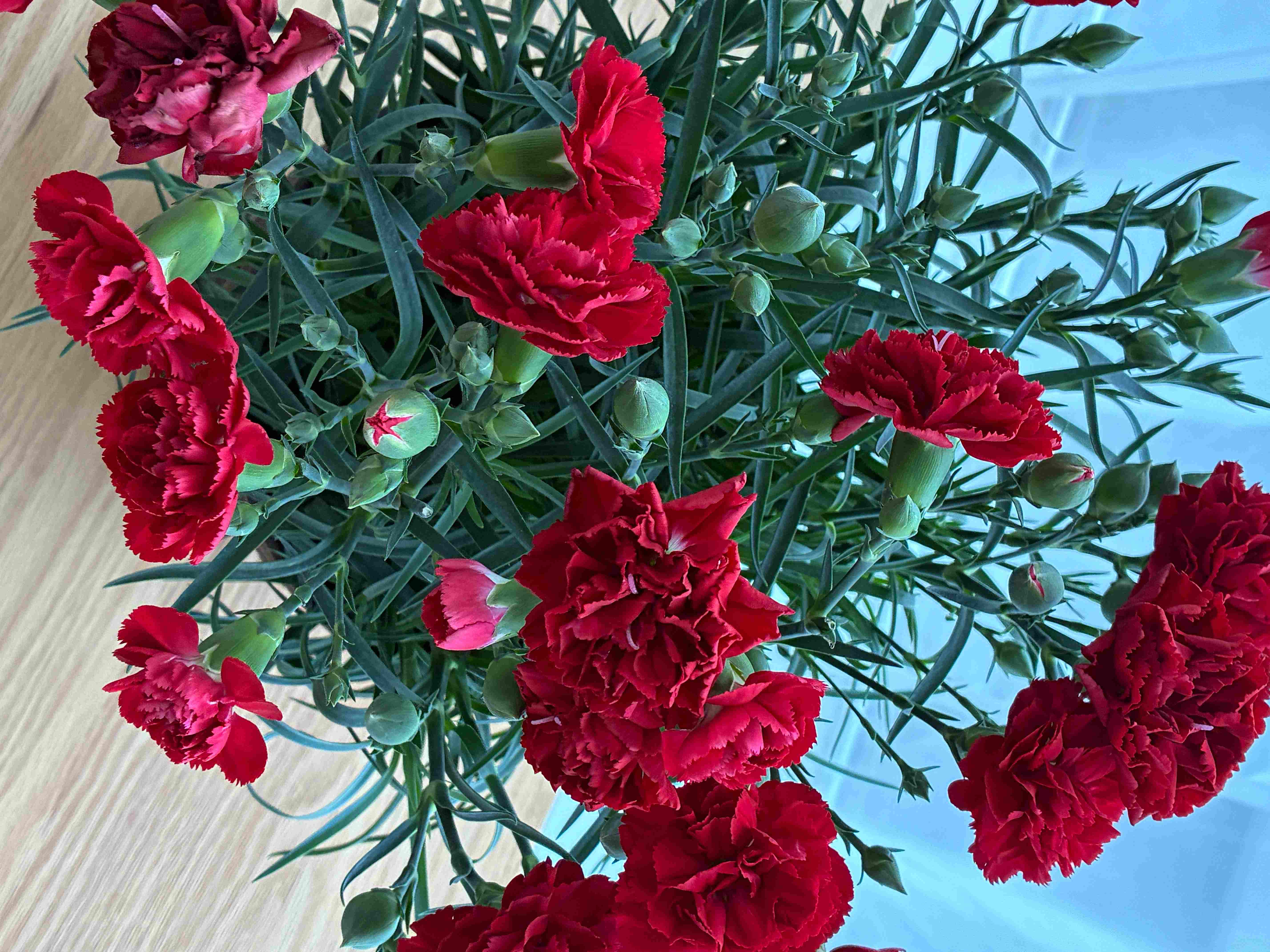 S__64077843_0.jpg