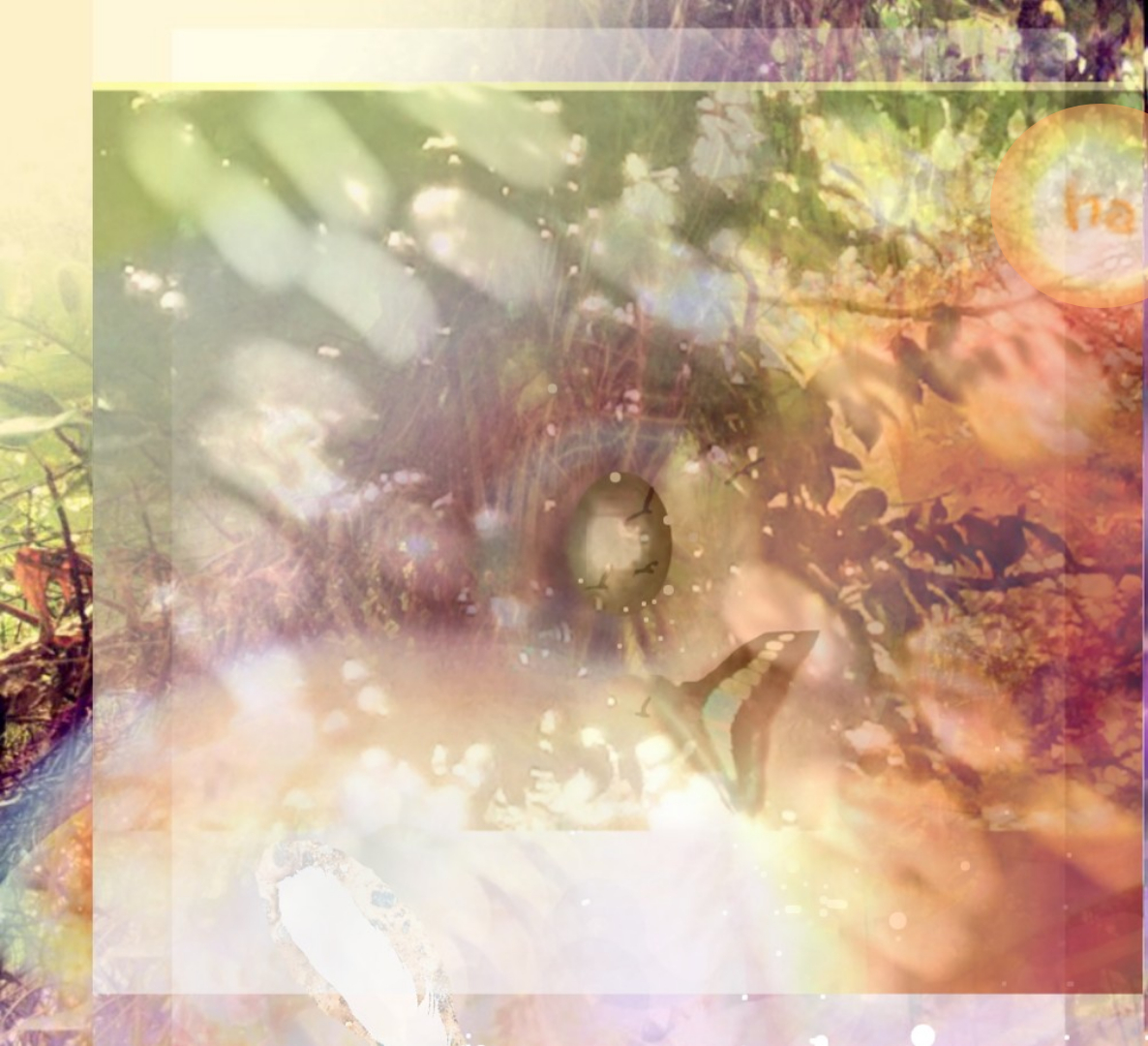 sketch-1639904507701.png
