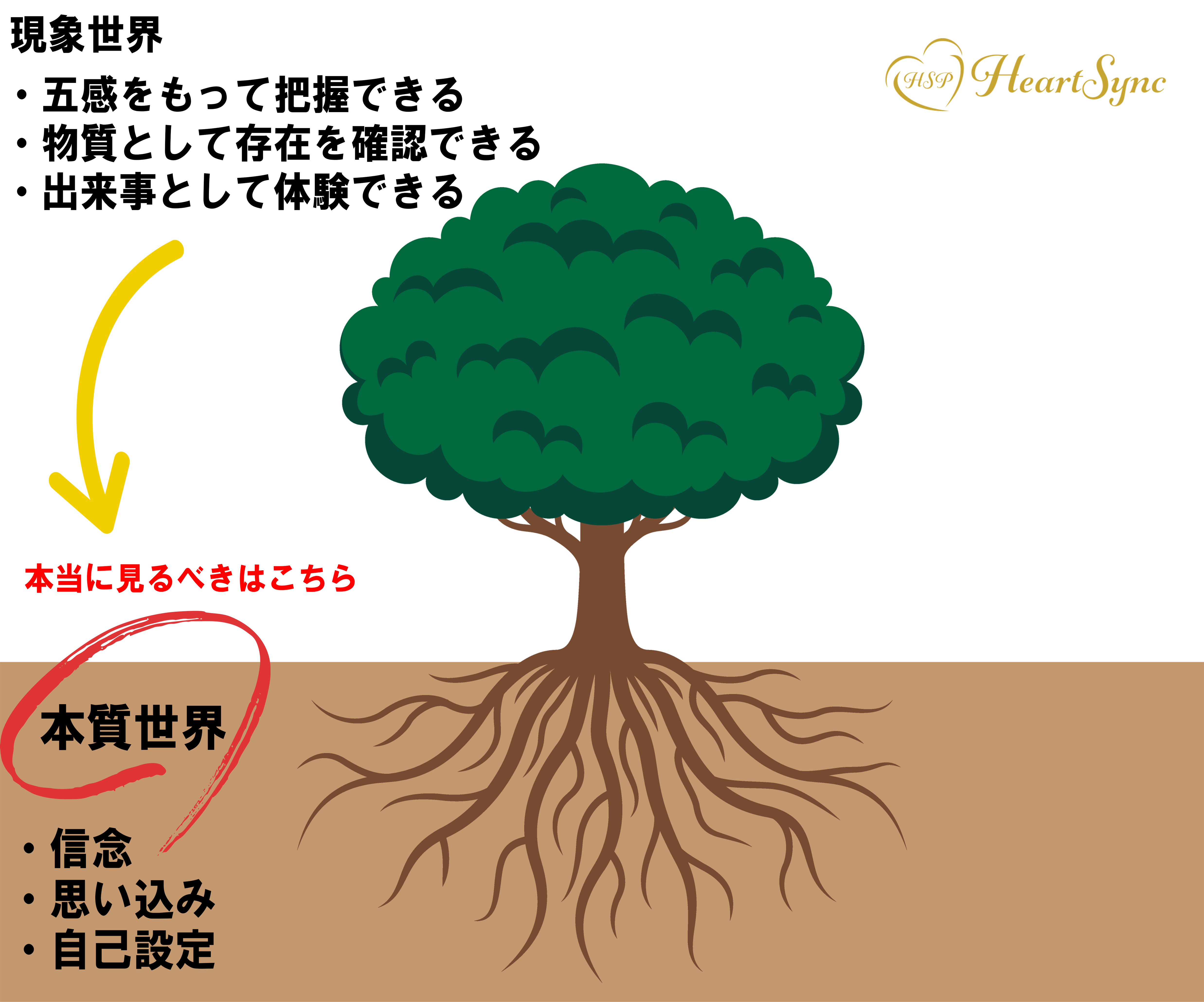 HSP_coconara_tree_image.png