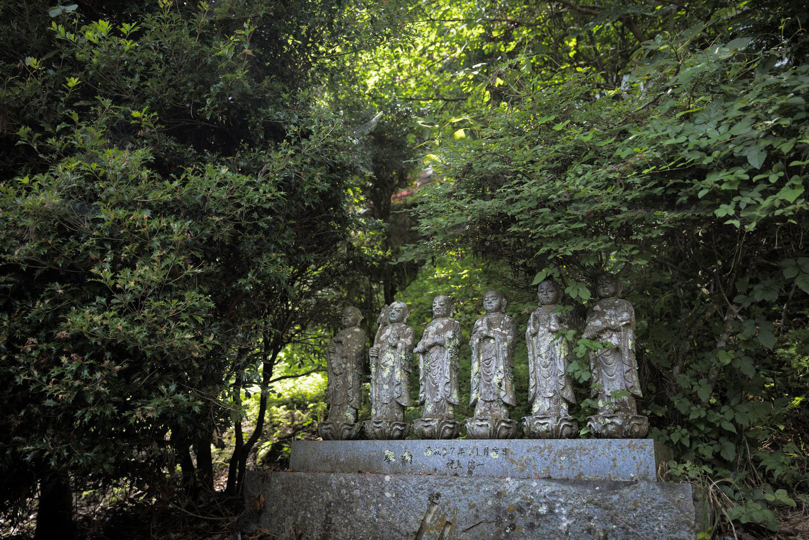 元00048.jpg