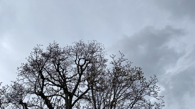 29093689_s.jpg