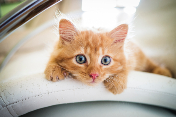 名称未設定のデザイン (23).png