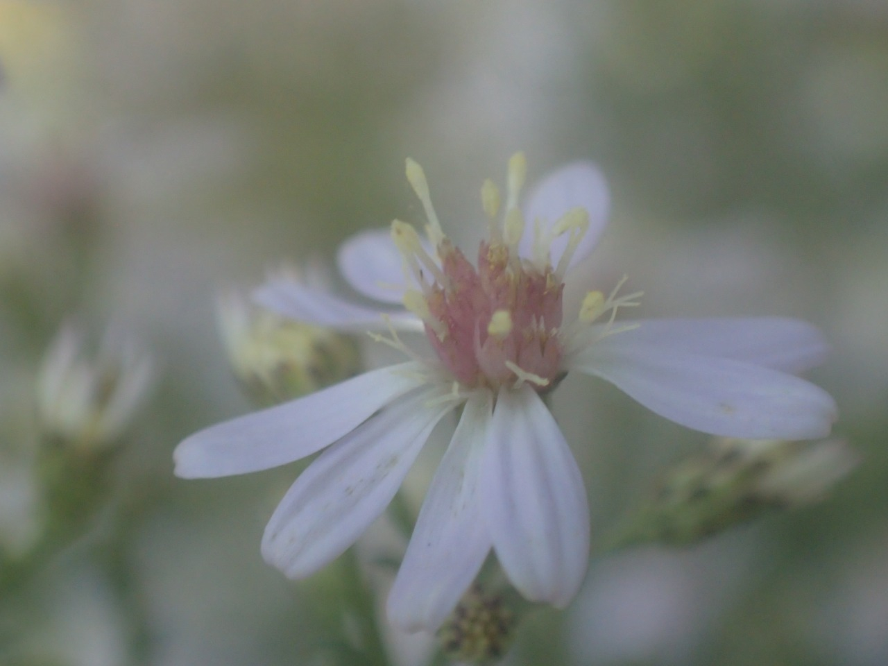 PA120367.JPG
