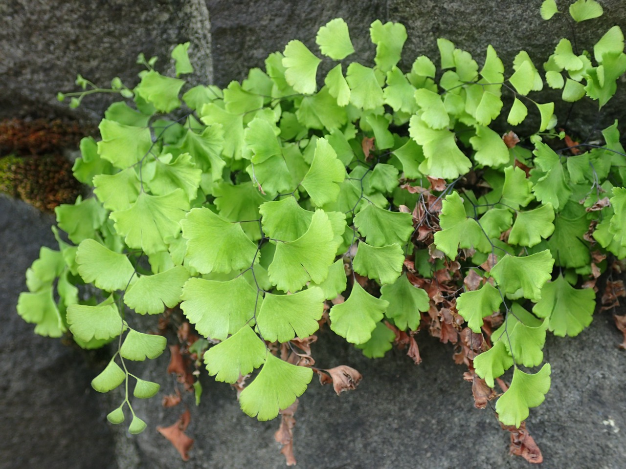 PA140327.JPG