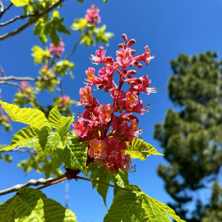 スクリーンショット 2024-06-10 1.52.39.png