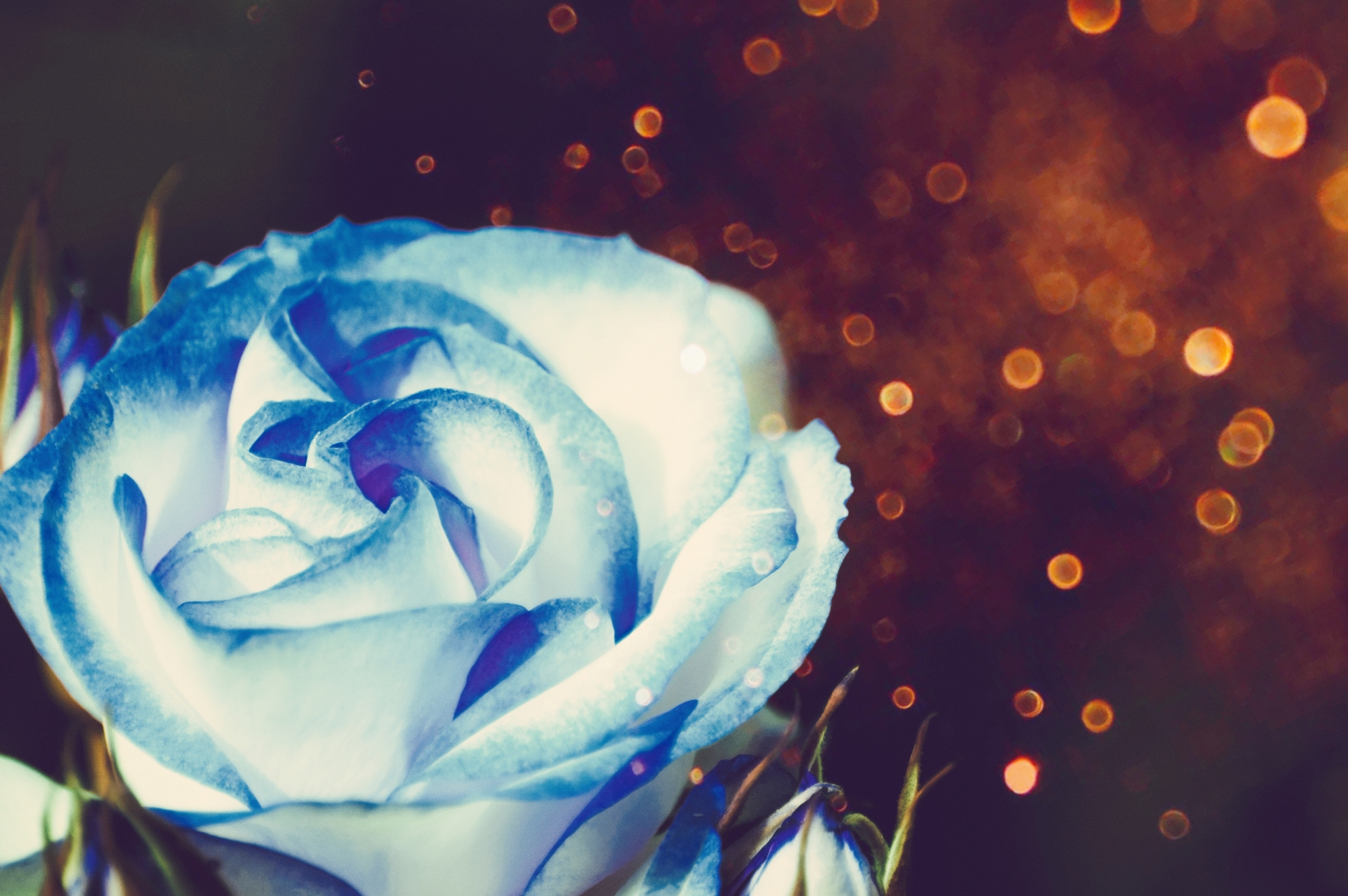 C920DEDF-3D5B-4BC4-BC97-58DEC4B90241.jpeg